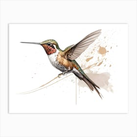 Kolibri Hummingbird - Water Color Painting 2 Art Print