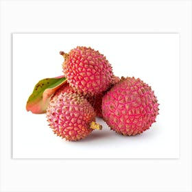 Lychee Fruit 16 Art Print