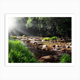 Stream In The Forest Art Print