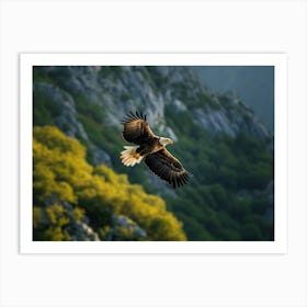 Eagle In Flight Art Print