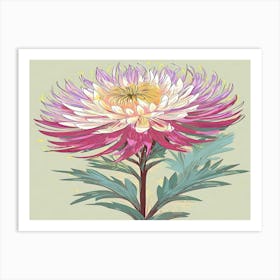 Chrysanthemum 19 Art Print