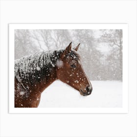 Snowy Winter Horse Art Print