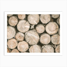 Firewood Logs Art Print
