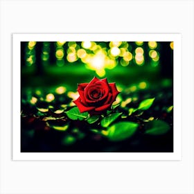Red Rose In The Forest Art Print