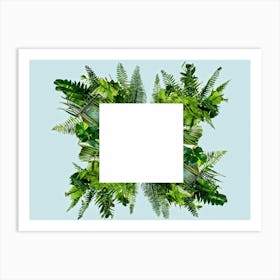 Fern Frame 3 Art Print