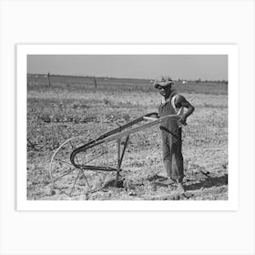 Untitled Photo, Possibly Related To New Madrid County, Missouri, Child Of Sharecropper Cultivating Cotton By Art Print