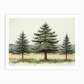 Three Pine Trees Art Print