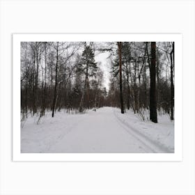 Winter In The Forest Art Print