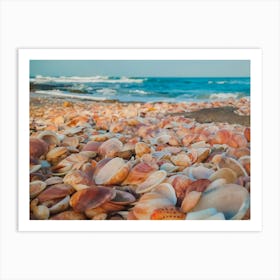 Sea Shells On The Beach 1 Art Print