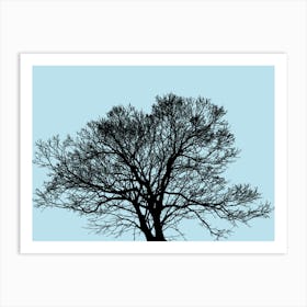 Bare Tree Art Print