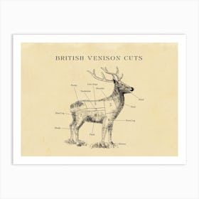 British Venison Butcher Cuts Chart Art Print