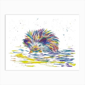 Colourful Hedgehog Art Print