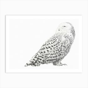 Snowy Owl Art Print