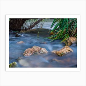 Peaceful Stream In The Forest Art Print