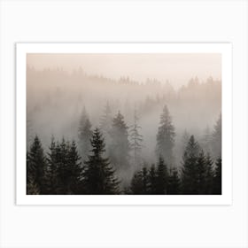 Misty Forest Scenery Art Print