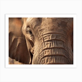 African Elephant Close Up Realism 3 Art Print