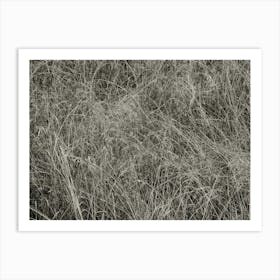 black and white bush Art Print