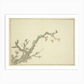 Hokusai S Blooming Plum Tree, Katsushika Hokusai Art Print