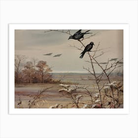 Crows On A Branch 1 Art Print