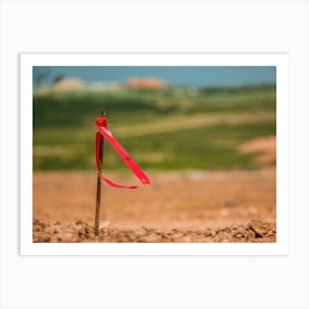 Metal Survey Peg With Red Flag On Construction Site 1 Art Print