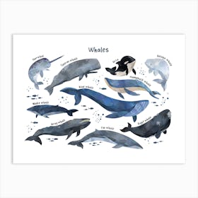 Watercolour Whales Horizontal Art Print