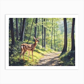 Deer In The Deep Woods 3 Art Print