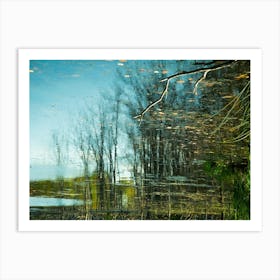 Tree Line Reflections 3 Art Print