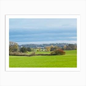 Field With Trees 1 Art Print