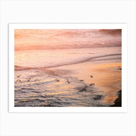 Birds On The Beach At Sunset Art Print