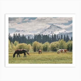 Horses In Pasture Art Print