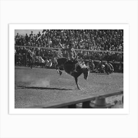 Untitled Photo, Possibly Related To Fancy Riding Demonstration At The Rodeo Of The San Angelo Fat Stock Show 2 Art Print