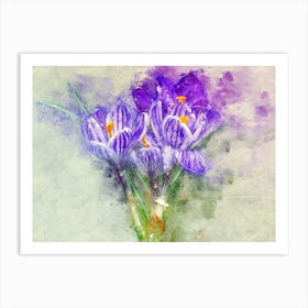 Crocus Art Print