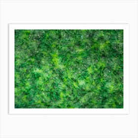 Abstract Green Pattern Fabric Texture On Israeli Money Bill Of 50 Shekel Under The Microscope 1 Art Print