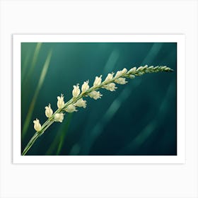 Flowering Grass Art Print