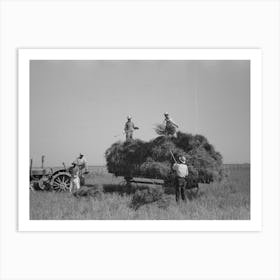 Harvesting Rice, Crowley, Louisiana By Russell Lee Art Print
