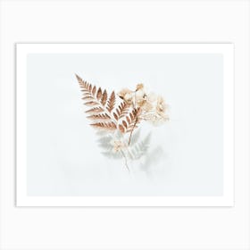 Ferns And Flowers Art Print