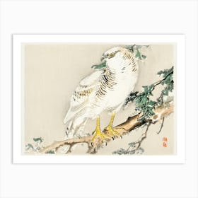 Northern Mockingbird, Kōno Bairei Art Print
