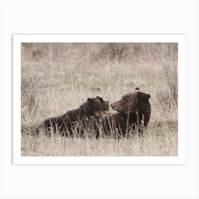 Mama Brown Bear Art Print