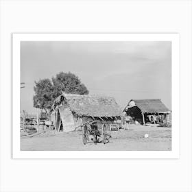 Edinburg (Vicinity), Texas, Farmstead Of A Small Mexican Farmer By Russell Lee Art Print