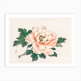Pink Rose, Kōno Bairei Art Print