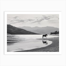 A Horse Oil Painting In Zlatni Rat (Golden Horn Beach), Croatia, Landscape 1 Art Print