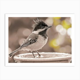 Bird On A Birdbath Art Print