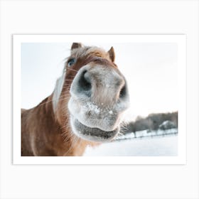Snowy Horse Nose Art Print