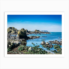 Rocks On The Coast Art Print