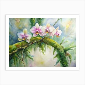 Orchids On Moss Art Print