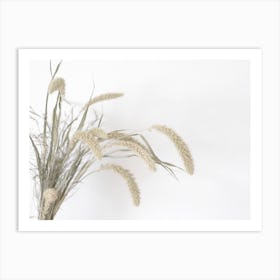 Dried Wheat Art Print