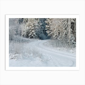 Winter Road In The Forest Art Print
