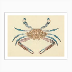 Blue Crab), Luigi Balugani Art Print