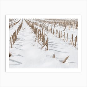 Snowy Corn Field Art Print