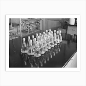 Erlenmeyer Flasks Full Of Liquid And Wood Samples, Forest Products Laboratory, Madison, Wisconsin By Russell Lee Art Print